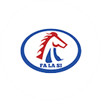 法拉斯電動(dòng)車