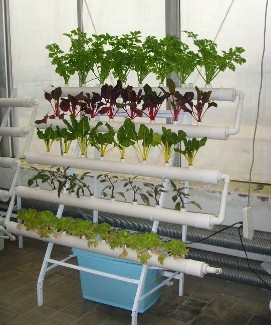 愛(ài)家者陽(yáng)臺(tái)菜園