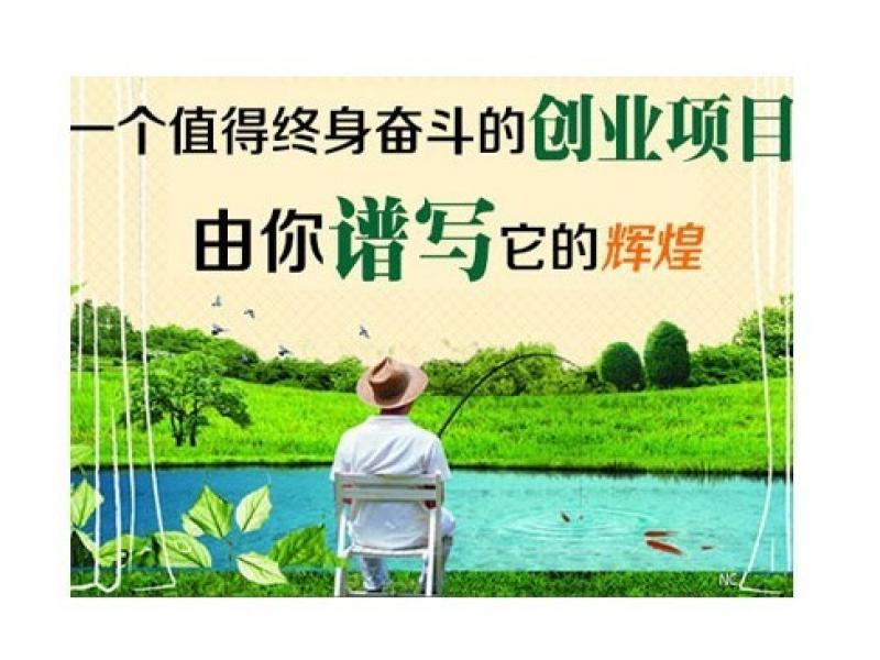 達力王可視釣魚竿加盟