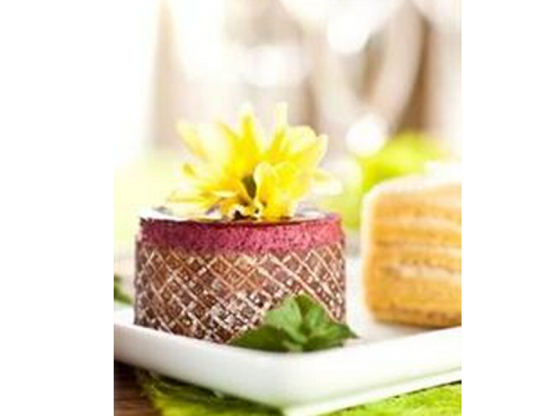 蒂利斯?jié)h堡招商