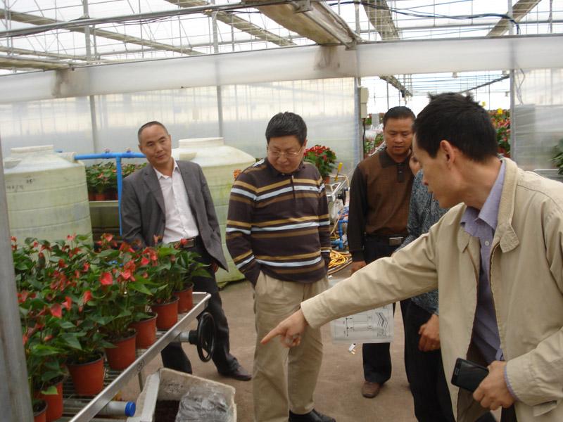 綠節(jié)地?zé)? /></a>
                                        <span><a href=