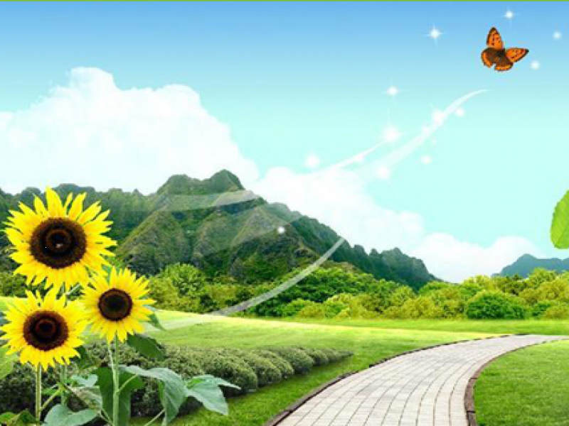 逸佳空氣凈化用品