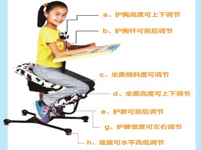 瑞丁真聰明正姿椅