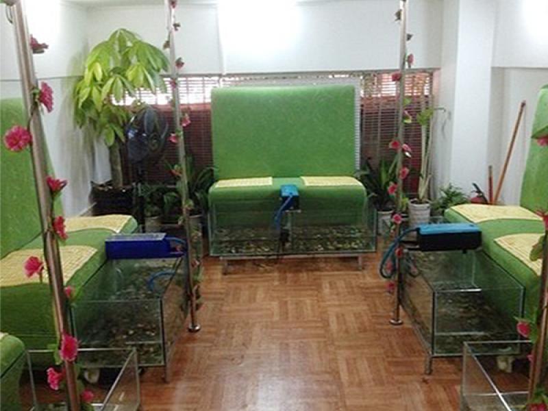 魚之吻足浴養(yǎng)生館