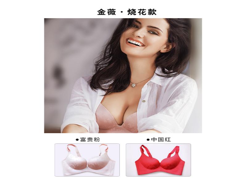 金薇無鋼圈養(yǎng)護(hù)內(nèi)衣