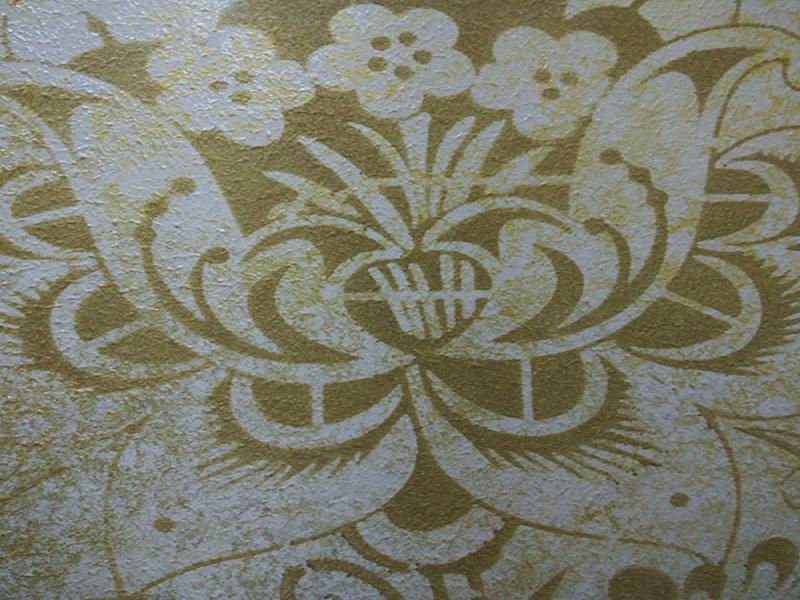 樂涂除霉防霉墻藝