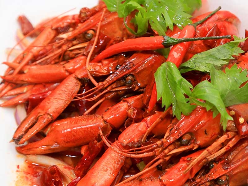 海錯島藍魔龍蝦