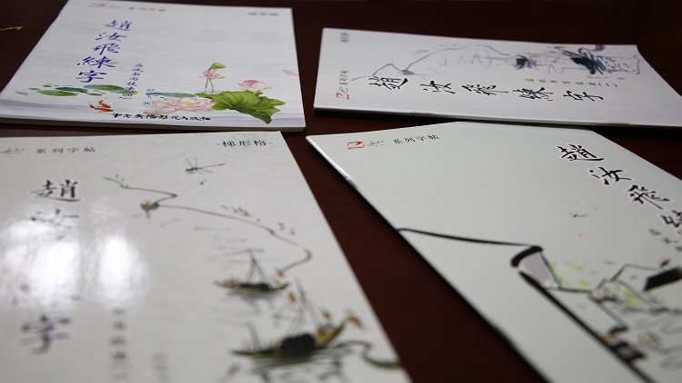 趙汝飛練字招商-趙汝飛練字怎么樣-趙汝飛練字招商電話