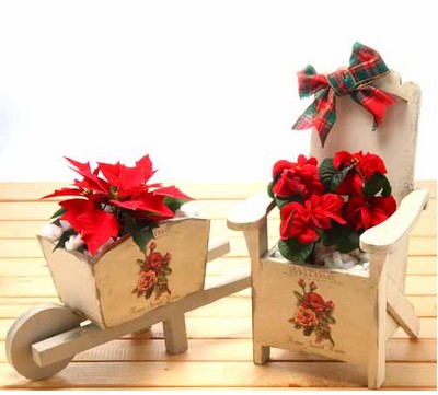 植彩坊特色花盆