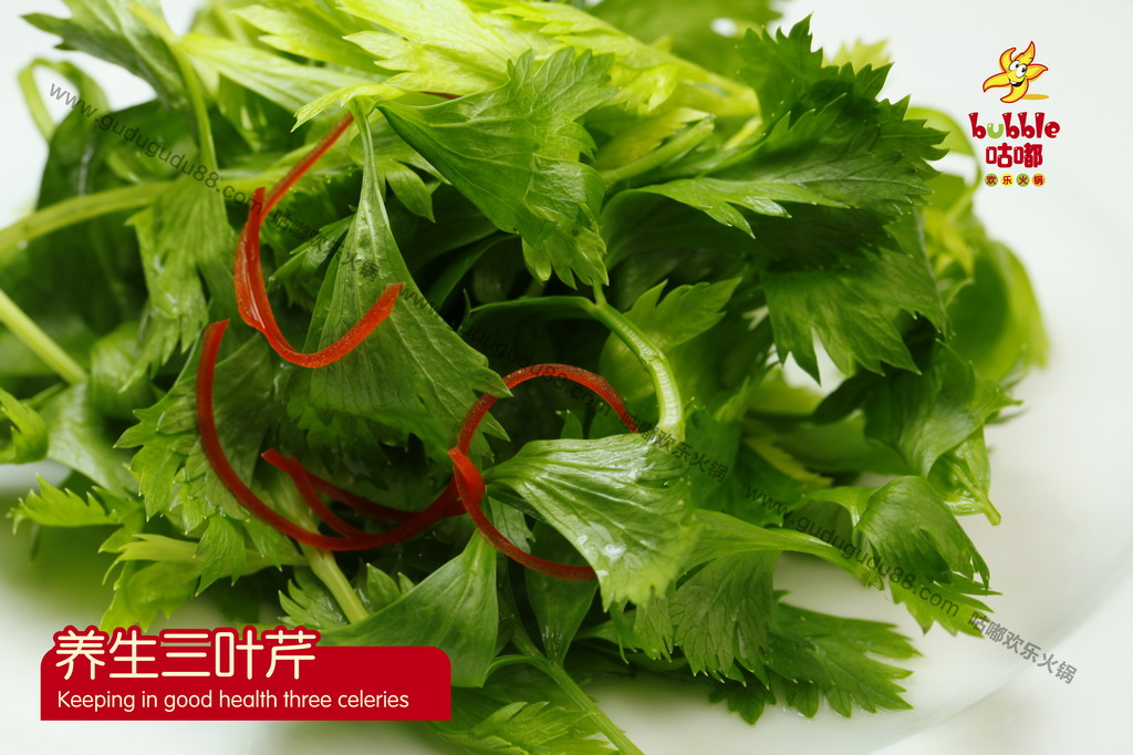 養(yǎng)生三葉芹