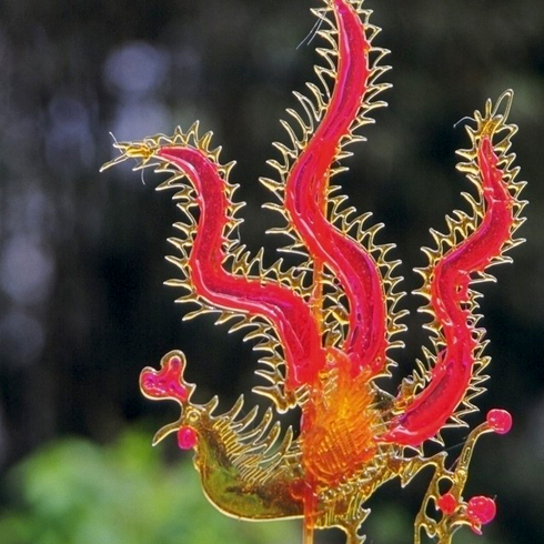 糖三彩糖畫機之鳳凰糖畫