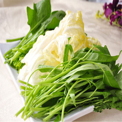 快樂(lè)的魚(yú)-青菜