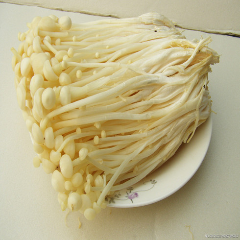 快樂(lè)的魚(yú)-魚(yú)蔬菜-金針菇