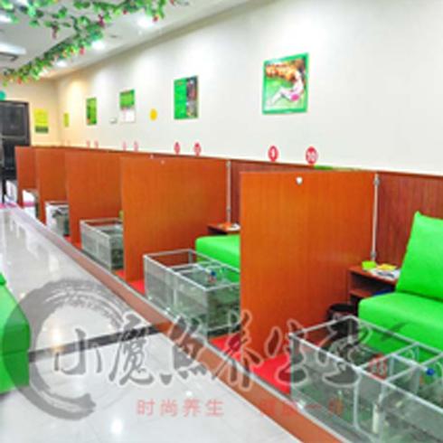 小魔魚養(yǎng)生堂項目