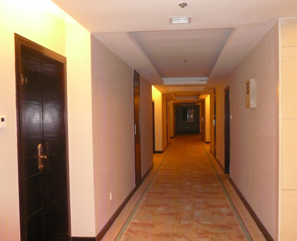 泰詩(shī)爾肌理壁膜