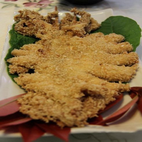 耍大牌大魷魚(yú)