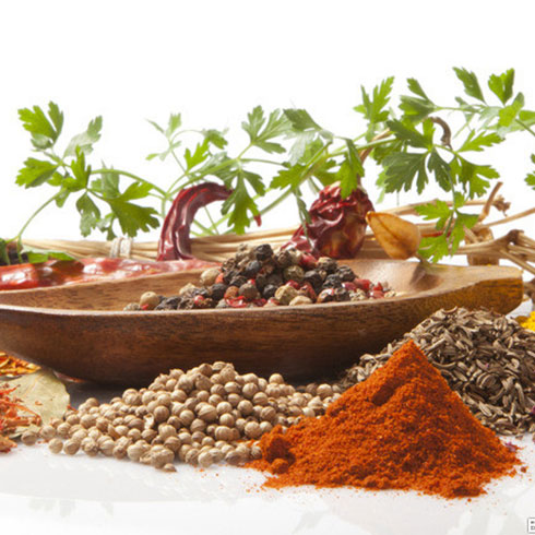 煮湯功夫麻辣燙產(chǎn)品-調(diào)味配料