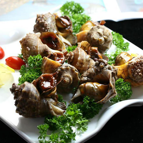 貴妃魷魚(yú)產(chǎn)品-海螺