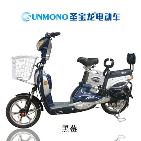 圣寶龍電動(dòng)車產(chǎn)品-圣寶龍黑莓電動(dòng)車