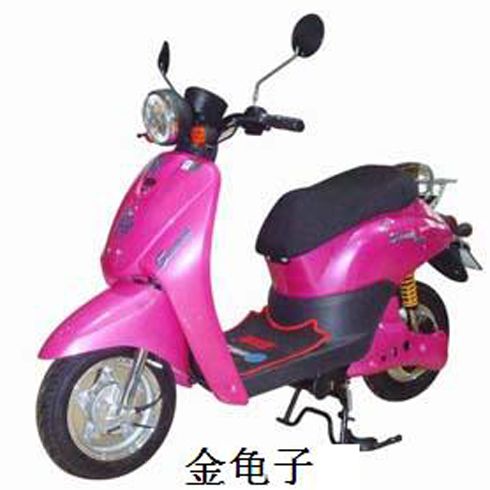 圣寶龍電動(dòng)車產(chǎn)品-圣寶龍金龜子電動(dòng)車