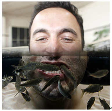 魚(yú)之情香薰魚(yú)療養(yǎng)生產(chǎn)品-魚(yú)療養(yǎng)生