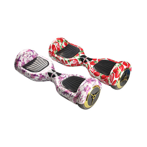 風(fēng)火輪電動獨輪車-時尚雙輪車