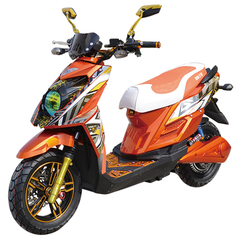 飄洋電動(dòng)車-TTS 