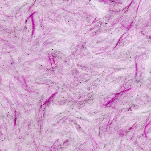 樹(shù)美家-C-006