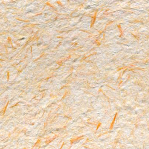 樹(shù)美家-C-001