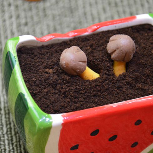 missmilk-盆栽冰淇淋