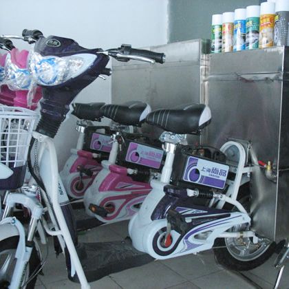 電動洗車機(jī)