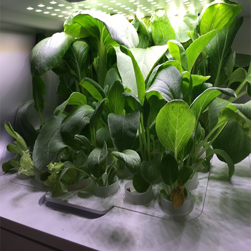 家佳優(yōu)品智能生活館產品介-生活館