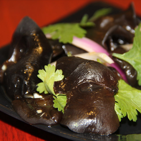 悅丫丫過(guò)橋米線-巧拌秋木耳