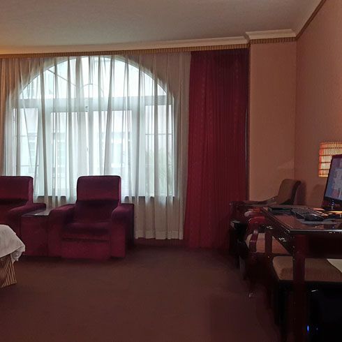 田園大酒店-商務房