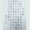 趙汝飛練字-學生練習作品