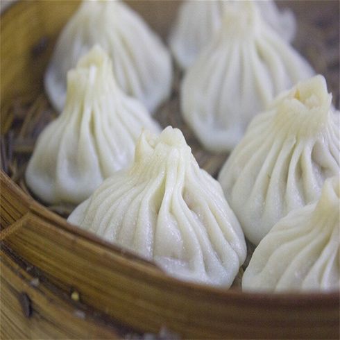 芳草渡包子培訓學習