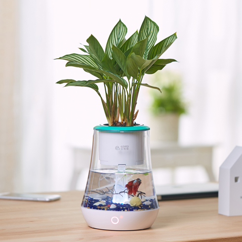 宜植愛(ài)養(yǎng)魚(yú)機(jī)懶人種值