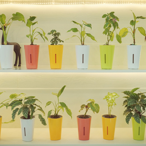 宜植愛(ài)加盟店展示