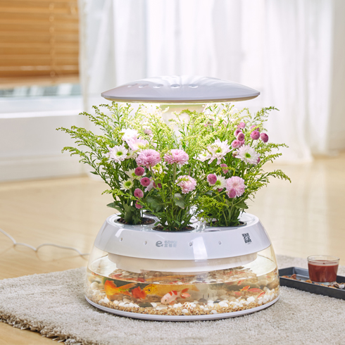 宜植愛(ài)藏韻云魚(yú)植機(jī)