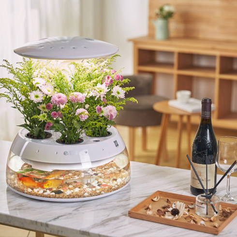 宜植愛(ài)K款魚(yú)植機(jī)展示