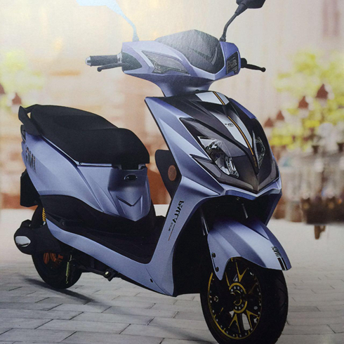 長(zhǎng)林電動(dòng)車-佳越電動(dòng)車銀灰色款