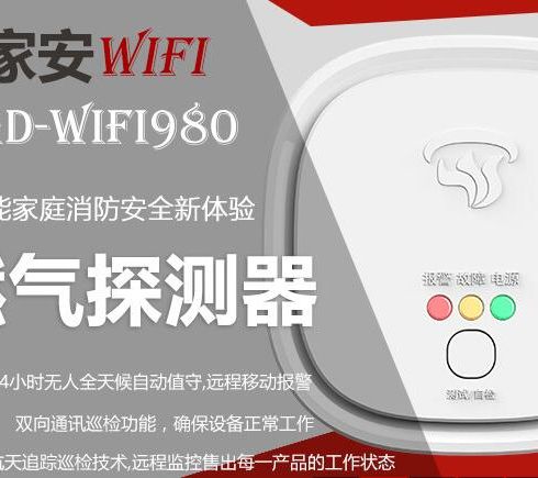 萬霖-燃?xì)馓綔y器