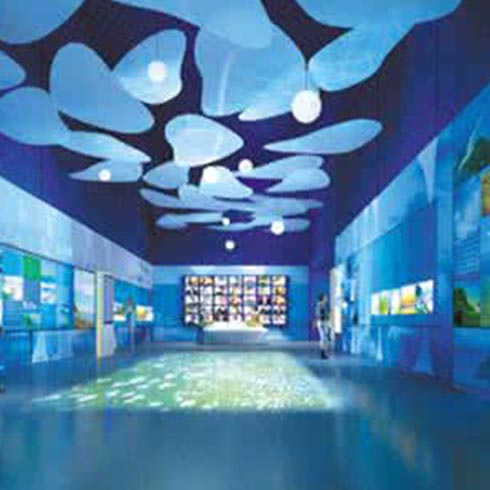 魚你同樂(lè)吃奶魚-魚你同樂(lè)起航館