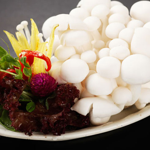 碩瑞達旋轉(zhuǎn)火鍋-白玉菇