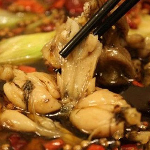 十八梯蛙隊(duì)長(zhǎng)-山椒牛蛙