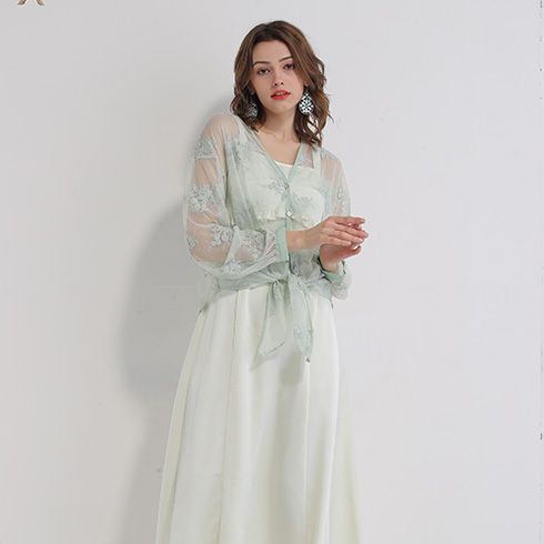 艾麗哲女裝-網(wǎng)紗刺繡連衣裙