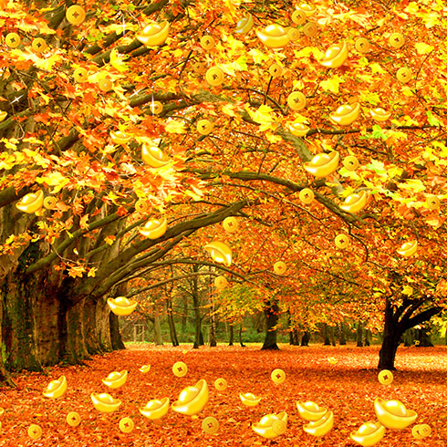 中科美創(chuàng)3D美墻機-秋意金寶