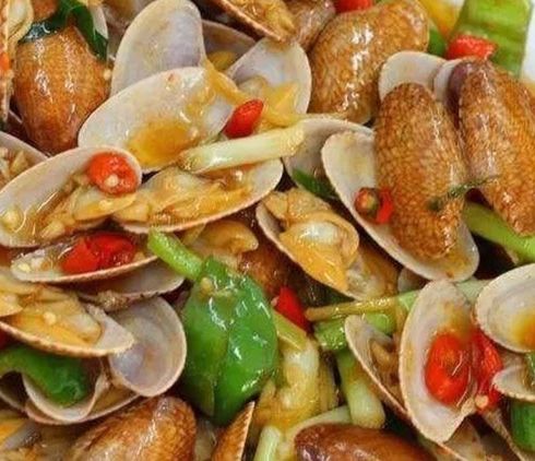 ME音樂(lè)文化-扇貝