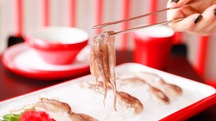 至魚(yú)手打魚(yú)丸火鍋-魷魚(yú)