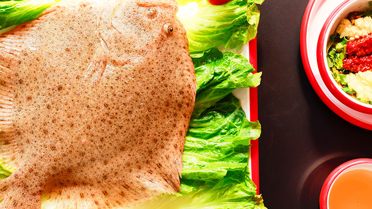 至魚(yú)手打魚(yú)丸火鍋-多寶魚(yú)